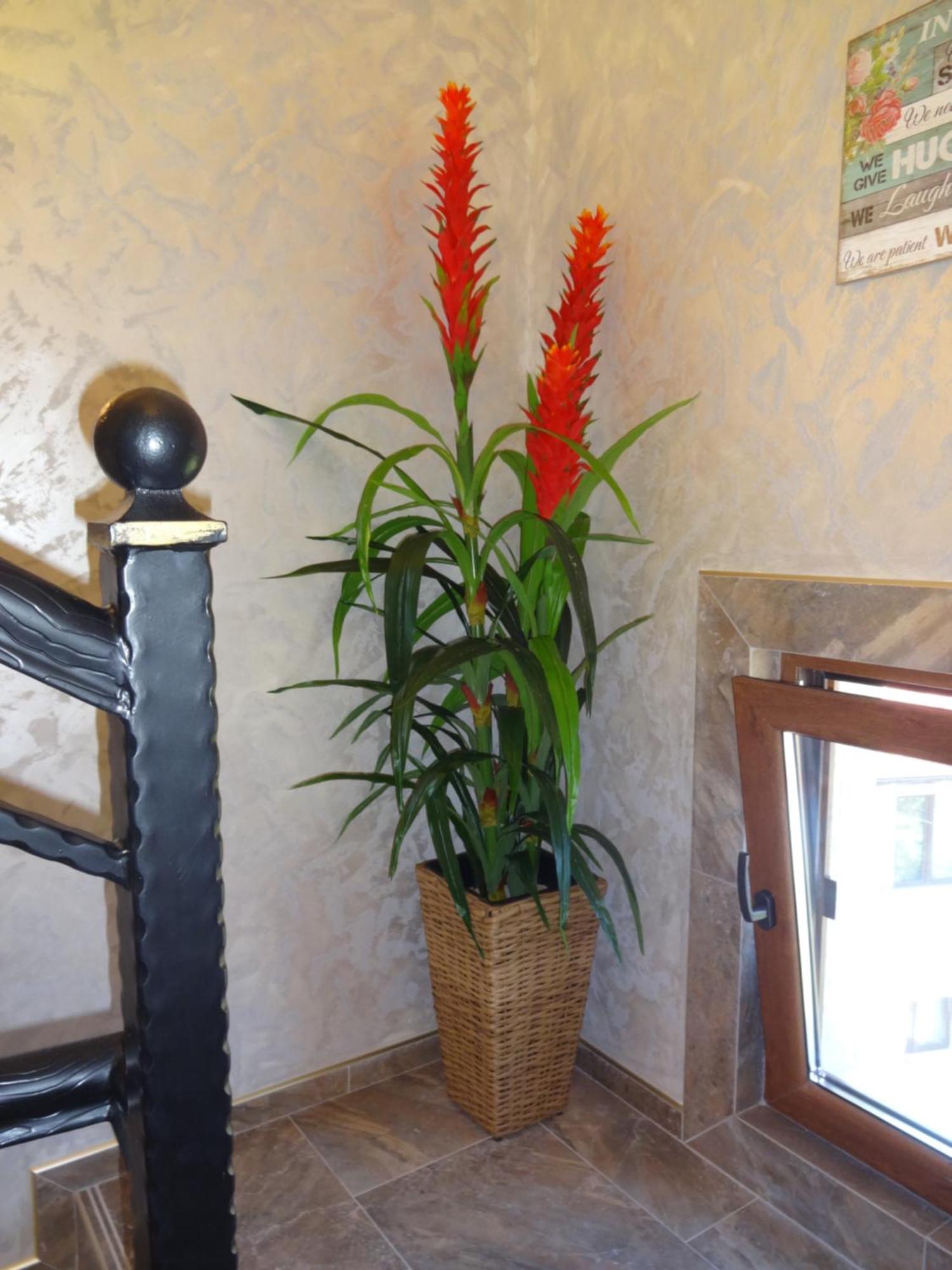 Apartments Dona Chernomorets Ngoại thất bức ảnh